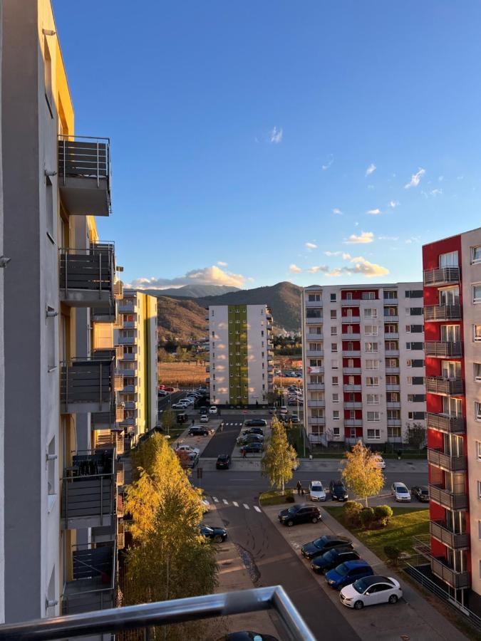 Apartamento Moncler Family Braşov Exterior foto